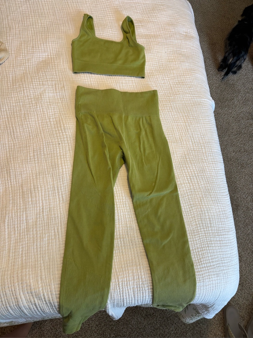 JoyLab Olive Green Ribbed Crop Tank and High-Waist Leggings Set